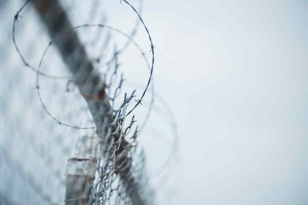 Image shows a barbed wire fence