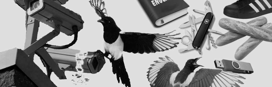 Magpie Project